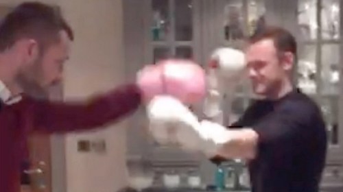 Wazza in his final sentient moments before the lights went out